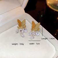 Wholesale Jewelry Elegant Sweet Butterfly Alloy Drop Earrings main image 10