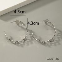 1 Pair Simple Style Streetwear Cool Style Round Plating Hollow Out Alloy Silver Plated Earrings main image 6