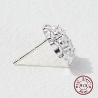 1 Pair Elegant Simple Style Commute Flower Inlay Sterling Silver Zircon White Gold Plated Rhodium Plated Ear Studs main image 4