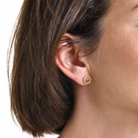 1 Pair Simple Style Animal Star Heart Shape Plating Inlay Copper Alloy Diamond Ear Studs main image 5