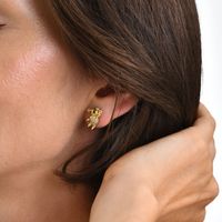 1 Pair Simple Style Animal Star Heart Shape Plating Inlay Copper Alloy Diamond Ear Studs main image 6