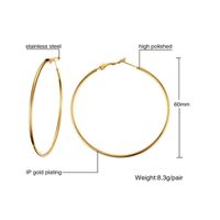 1 Pair Simple Style Geometric 304 Stainless Steel Gold Plated Hoop Earrings sku image 7