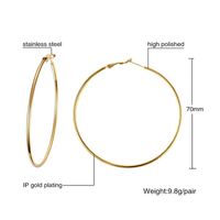 1 Pair Simple Style Geometric 304 Stainless Steel Gold Plated Hoop Earrings sku image 8