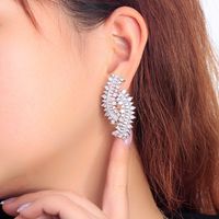 1 Pair Luxurious Geometric Plating Inlay Copper Zircon Rhodium Plated Silver Plated Drop Earrings main image 9