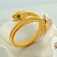 Elegant Simple Style Snake Titanium Steel Plating Inlay Rhinestones 18k Gold Plated Bangle main image 4