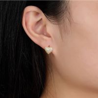 1 Pair Simple Style Classic Style Heart Shape Plating Inlay Sterling Silver Zircon 18k Gold Plated Rhodium Plated Earrings main image 5