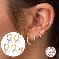1 Set Simple Style Round Plating Inlay Sterling Silver Turquoise Earrings main image 3