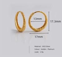 1 Pair Simple Style Geometric Plating Sterling Silver 18k Gold Plated White Gold Plated Hoop Earrings main image 2