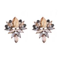 1 Paire Élégant Style Classique Fleur Incruster Verre Strass Boucles D'oreilles main image 7