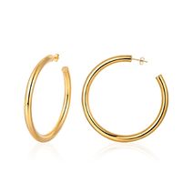 1 Piece Casual Elegant Classic Style Geometric 304 Stainless Steel 18K Gold Plated Drop Earrings main image 4