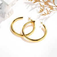 1 Piece Casual Elegant Classic Style Geometric 304 Stainless Steel 18K Gold Plated Drop Earrings main image 5