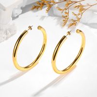 1 Piece Casual Elegant Classic Style Geometric 304 Stainless Steel 18K Gold Plated Drop Earrings main image 6