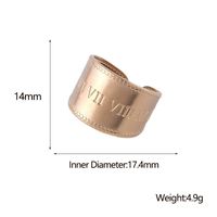 304 Stainless Steel 18K Gold Plated Punk Plating Roman Numeral Wide Band Rings main image 9