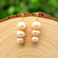1 Pair Simple Style Classic Style Round Plating Inlay Freshwater Pearl Brass Freshwater Pearl 18k Gold Plated Drop Earrings sku image 1