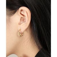 1 Pair Casual Shiny Round Plating Inlay Sterling Silver Zircon 18k Gold Plated Rhodium Plated Ear Studs main image 5