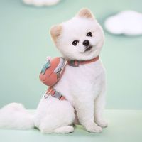 Cute Polyester Solid Color Leash main image 6