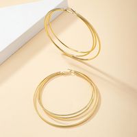 Wholesale Jewelry Simple Style Classic Style Solid Color Alloy Ferroalloy 14k Gold Plated Plating Hoop Earrings main image 4