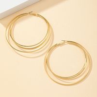 Wholesale Jewelry Simple Style Classic Style Solid Color Alloy Ferroalloy 14k Gold Plated Plating Hoop Earrings main image 5