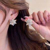 1 Pair Simple Style Classic Style Snowflake Inlay Alloy Zircon Ear Studs main image 2