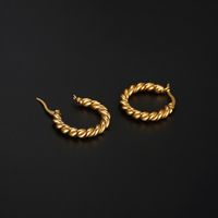 1 Pair Retro Twist Plating 304 Stainless Steel 18K Gold Plated Earrings main image 2