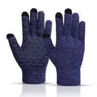 Männer Einfacher Stil Farbblock Handschuhe 1 Paar sku image 4