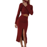 Street Women's Casual Elegant Solid Color Polyester Skirt Sets Skirt Sets main image 2