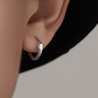 1 Pair Simple Style Snake Plating Copper Hoop Earrings main image 4