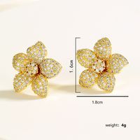 Fashion Simple Flower Shape Plating 18k Gold Zircon Copper Earrings main image 5