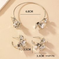 1 Set Elegant Vintage Style Flower Plating Inlay Metal Zircon Hoop Earrings main image 7