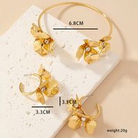 1 Set Elegant Vintage Style Flower Plating Inlay Metal Zircon Hoop Earrings main image 8