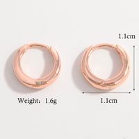 1 Pair Simple Style Commute Circle Plating Sterling Silver 14k Gold Plated Rose Gold Plated White Gold Plated Earrings sku image 3