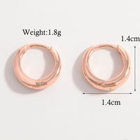 1 Pair Simple Style Commute Circle Plating Sterling Silver 14k Gold Plated Rose Gold Plated White Gold Plated Earrings sku image 6