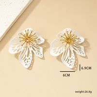 1 Pair Simple Style Flower Plating Hollow Out Metal Ear Studs main image 9