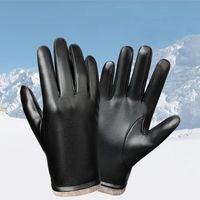 Männer Klassischer Stil Einfarbig Handschuhe 1 Satz main image 1