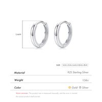 1 Pair Ig Style Elegant Sweet Round Plating Sterling Silver 18k Gold Plated Rhodium Plated Hoop Earrings main image 5