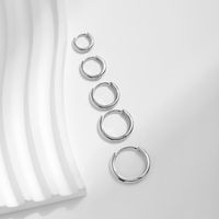 1 Pair Ig Style Elegant Sweet Round Plating Sterling Silver 18k Gold Plated Rhodium Plated Hoop Earrings main image 9