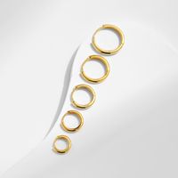 1 Pair Ig Style Elegant Sweet Round Plating Sterling Silver 18k Gold Plated Rhodium Plated Hoop Earrings main image 7