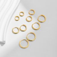 1 Pair Ig Style Elegant Sweet Round Plating Sterling Silver 18k Gold Plated Rhodium Plated Hoop Earrings main image 8
