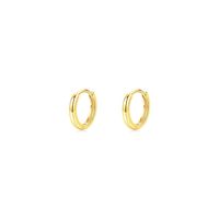 1 Pair Ig Style Elegant Sweet Round Plating Sterling Silver 18k Gold Plated Rhodium Plated Hoop Earrings sku image 1