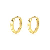 1 Pair Ig Style Elegant Sweet Round Plating Sterling Silver 18k Gold Plated Rhodium Plated Hoop Earrings sku image 9