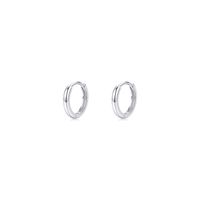 1 Pair Ig Style Elegant Sweet Round Plating Sterling Silver 18k Gold Plated Rhodium Plated Hoop Earrings sku image 2
