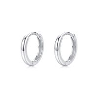 1 Pair Ig Style Elegant Sweet Round Plating Sterling Silver 18k Gold Plated Rhodium Plated Hoop Earrings sku image 10
