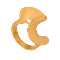 Casual S Shape Titanium Steel Plating 18k Gold Plated Rings main image 7