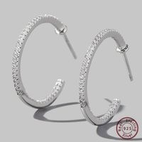 1 Pair Elegant Romantic Circle Plating Inlay Sterling Silver Zircon 14k Gold Plated White Gold Plated Hoop Earrings main image 4