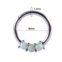 1 Piece Fashion Solid Color Plating Inlay Stainless Steel Zircon Nose Ring sku image 23
