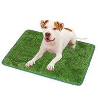 Simple Style Pe Tpr Solid Color Pet Pad main image 1