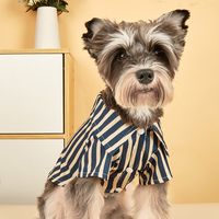 Estilo Británico Poliéster Raya Ropa Para Mascotas main image 1