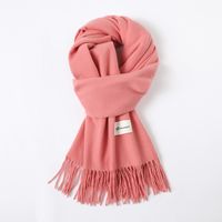 Women's Simple Style Solid Color Imitation Cashmere Scarf sku image 8