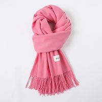 Women's Simple Style Solid Color Imitation Cashmere Scarf sku image 7