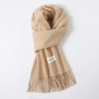 Women's Simple Style Solid Color Imitation Cashmere Scarf sku image 12